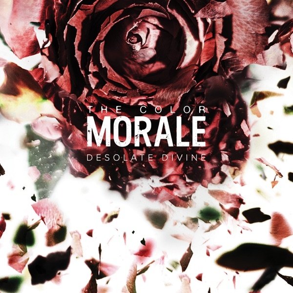 Album The Color Morale - Desolate Divine