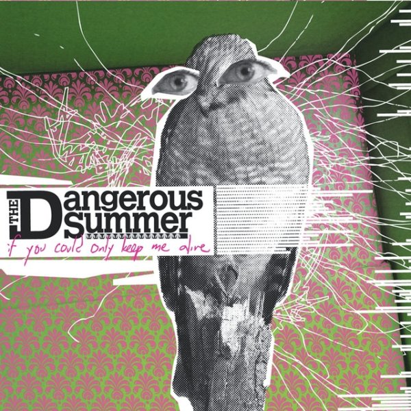 Album The Dangerous Summer - If You Could Only Keep Me Alive
