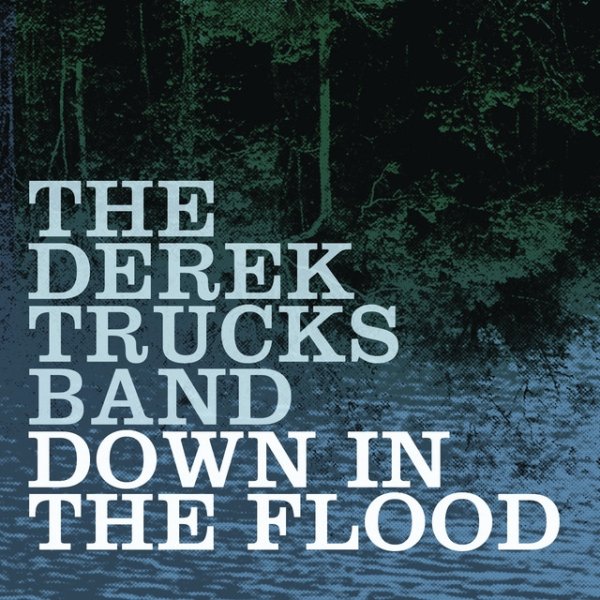 Album The Derek Trucks Band - Down In the Flood