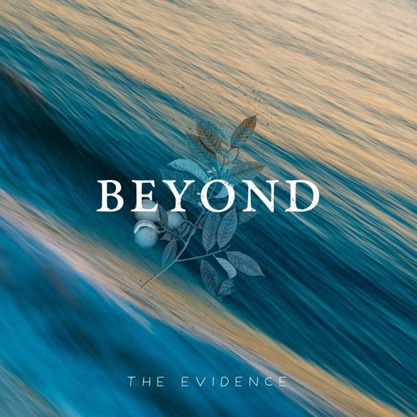 Album The Evidence - Beyond