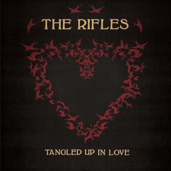 Tangled Up In Love Album 