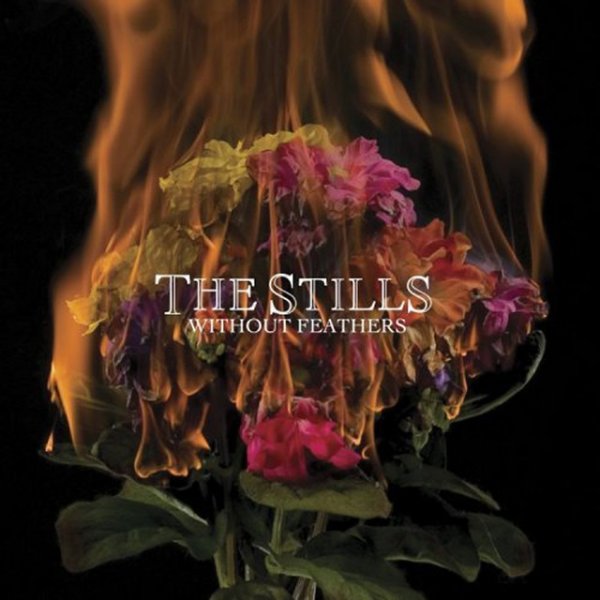Album The Stills - Without Feathers