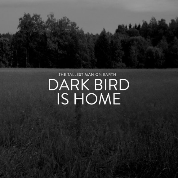 Dark Bird Is Home Album 