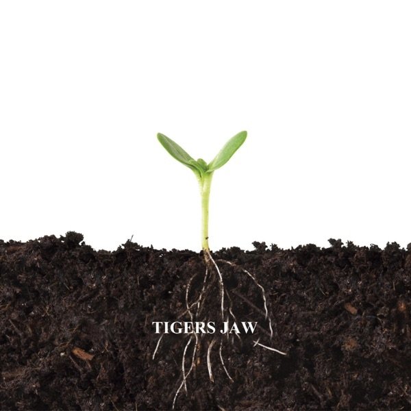 Album Tigers Jaw - Balance and Composure & Tigers Jaw Split