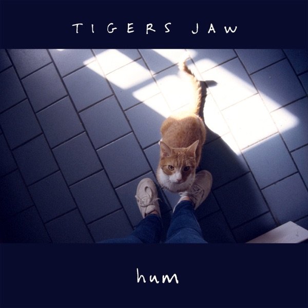 Album Tigers Jaw - Hum
