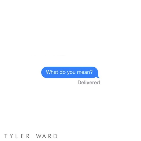 Album Tyler Ward - What Do You Mean?