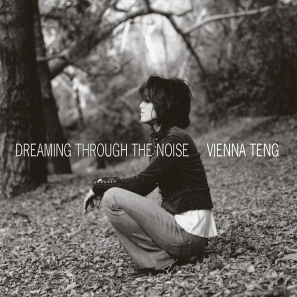 Album Vienna Teng - Dreaming Through The Noise