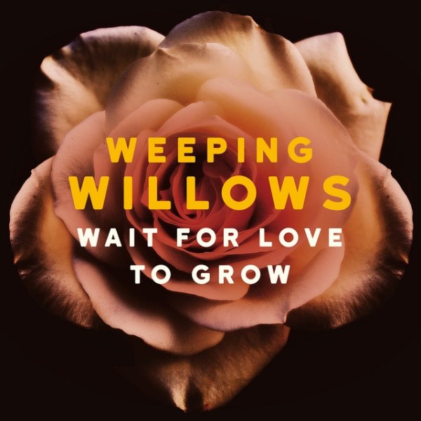 Album Weeping Willows - Wait for Love to Grow
