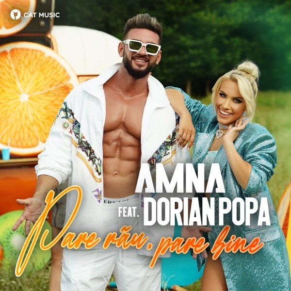 Pare rau, pare bine Album 