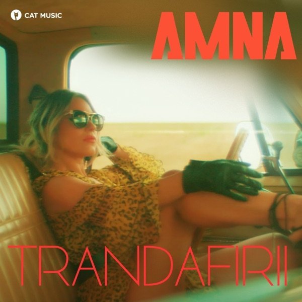 Trandafirii Album 