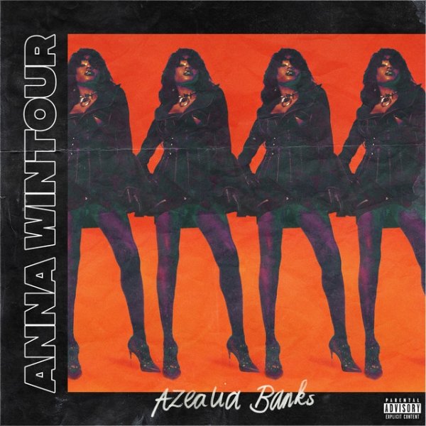 Anna Wintour Album 