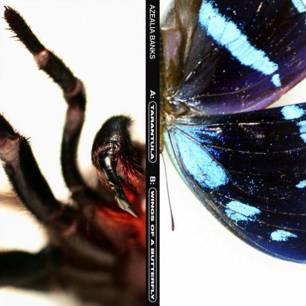 Tarantula Album 