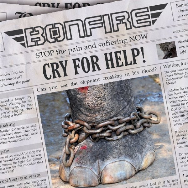 Bonfire Cry for Help, 2012