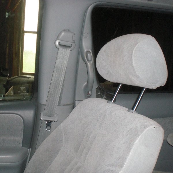 Car Seat Headrest 1, 2010