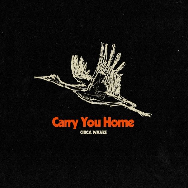 Carry You Home - album