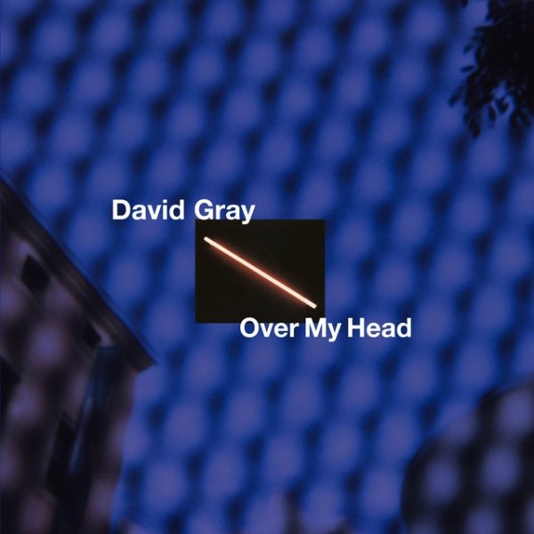 David Gray Over My Head, 2019