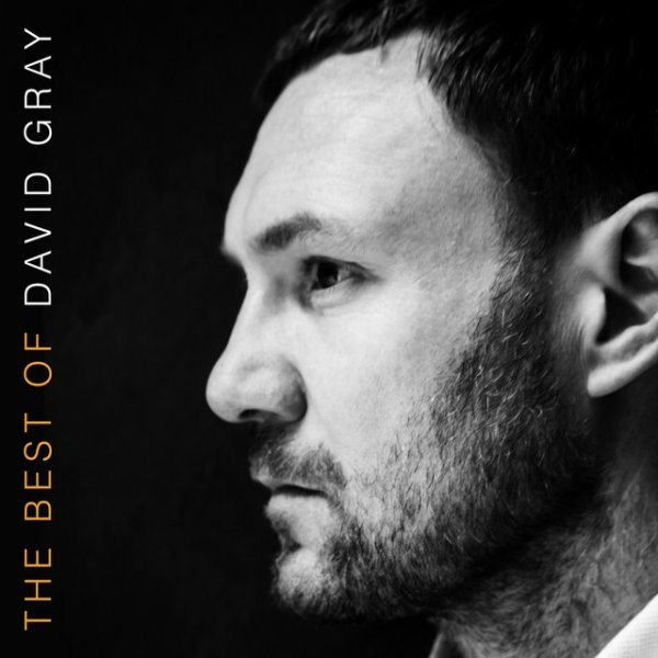 David Gray The Best of David Gray, 2016