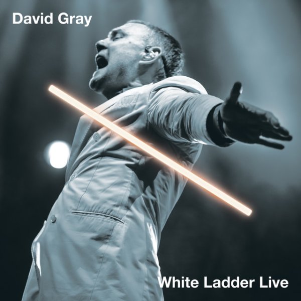 David Gray White Ladder Live, 2023