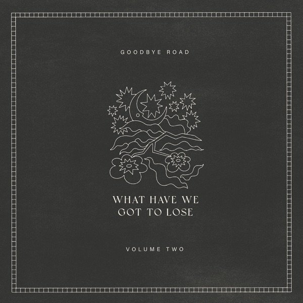 What Have We Got to Lose - album
