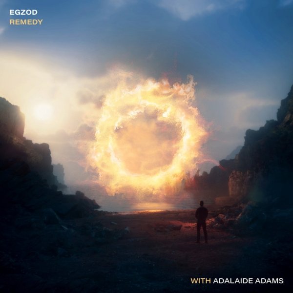 Remedy Album 