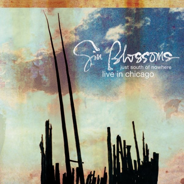 Gin Blossoms Just South Of Nowhere - Live In Chicago, 2009
