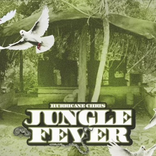 Jungle Fever - album