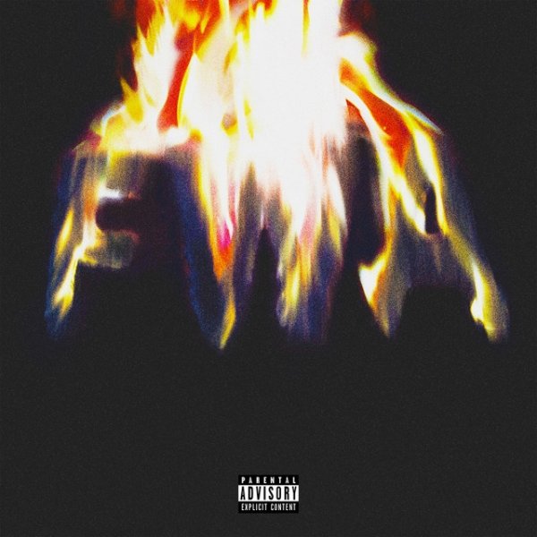Lil' Wayne FWA, 2015