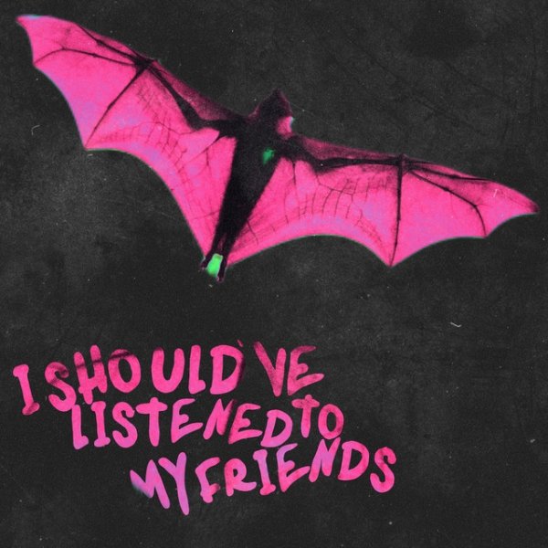 I should've listened to my friends Album 