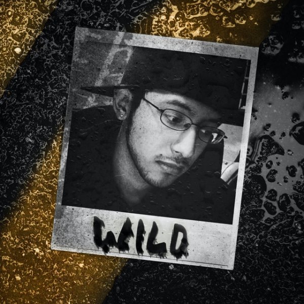 Wild - album