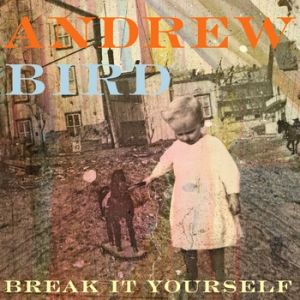 Album Andrew Bird - Break It Yourself
