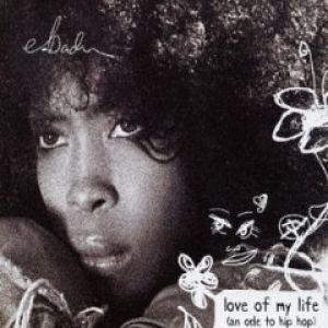 Love of My Life (An Ode to Hip-Hop) - album