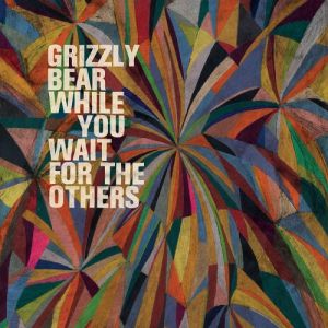 Album Grizzly Bear - While You Wait for the Others