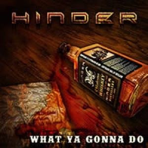 Hinder What Ya Gonna Do, 2011