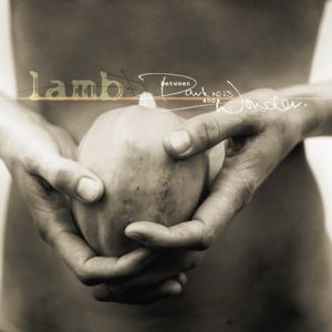 Album Between Darkness and Wonder - Lamb