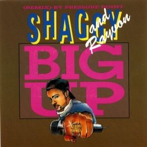 Album Shaggy - Big Up