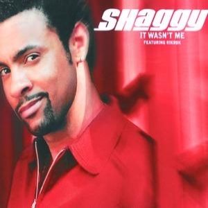 Album Shaggy - It Wasn