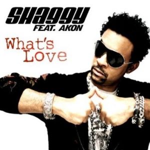 Album What's Love - Shaggy