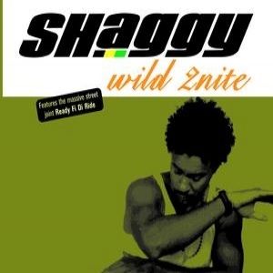 Album Wild 2Nite - Shaggy