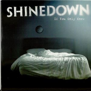 Album Shinedown - If You Only Knew