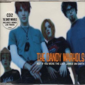 Album The Dandy Warhols - Not If You Were the Last Junkie on Earth