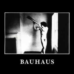Album Bauhaus - In the Flat Field