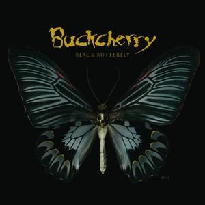 Album Black Butterfly - Buckcherry