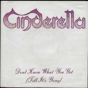 Cinderella Don't Know What You Got (Till It's Gone), 1988