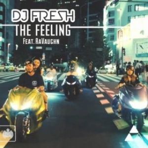 DJ Fresh The Feeling, 2012