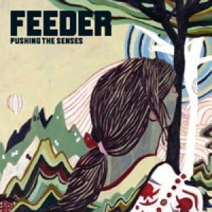 Album Feeder - Pushing the Senses