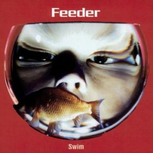 Album Feeder - Swim