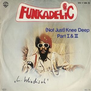 Funkadelic : (Not Just) Knee Deep