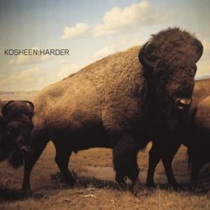 Kosheen Harder, 2001
