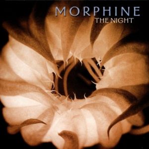 Album The Night - Morphine