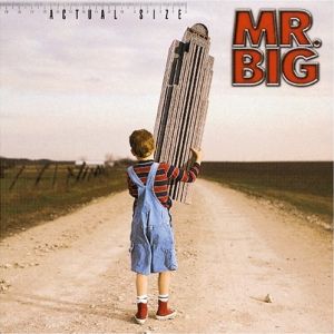 Album Mr. Big - Actual Size